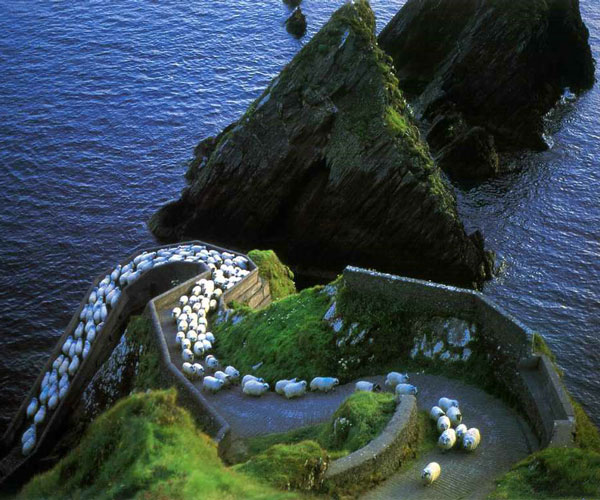 Dingle
