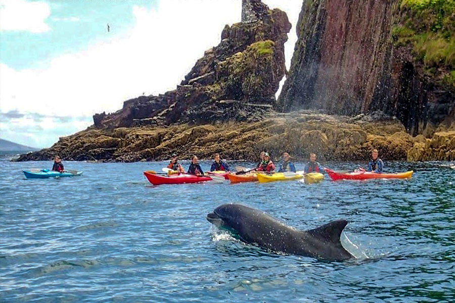 Kayak in Dingle Harbour
