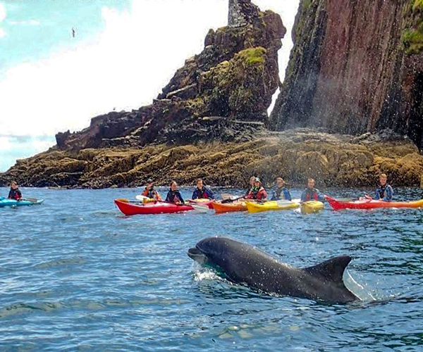 Kayak in Dingle Harbour